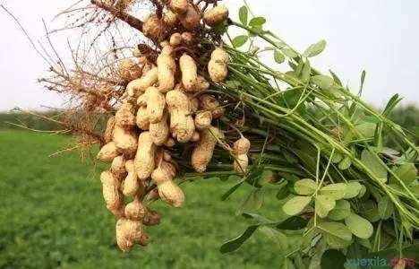 ������Ҫ���a��ô�k��ʩ����������Ч���ã�