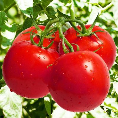 ���t�������Ҏ(gu��)����ʲô��ʩ�ʕr(sh��)��Ҫע��ʲô��