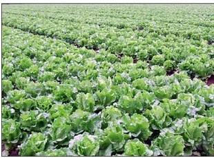 �Y�����ˑ�ԓ���ʩ�ʣ��Y������ʩ�ʷ�����