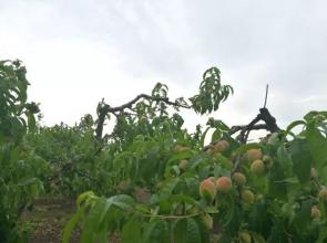 �Ҙ�(sh��)��ǰ��(y��ng)ԓ���׷�ʣ��Ҙ�(sh��)��ǰ׷�ʼ��g(sh��)��