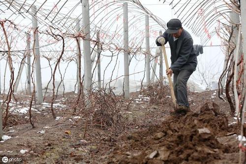 ���ё�ԓ���ʩ���ʣ�����ʩ���ʵĕr�g��������