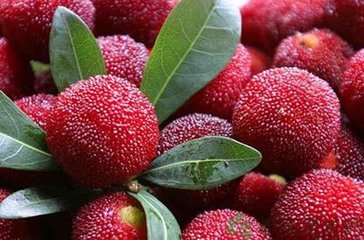 ��÷��ȫ���a(ch��n)���g(sh��)Ҫ�c(di��n)