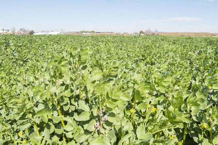 �Nֲ�Q����ԓ��ôʩ�ʣ��Q��ʩ�ʼ��g��