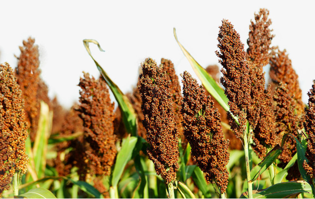 ������Ҫ�߮a��ԓ����ʩ�ʣ�����ʩ�ʼ��g��