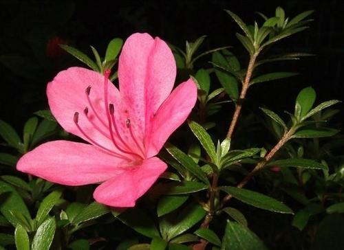 ���N����ʩ��Ҫ�c��ʲô�����N����ԓ���ʩ����