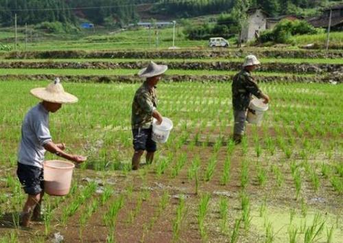 ���ԓ����ʩ�ʣ���Ҫע��ʲô��