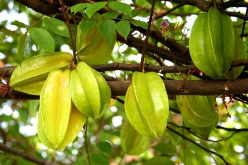 �Nֲ�����ڸ����r�ڑ�ԓ����ʩ�ʣ�����ʩ�ʼ��g��