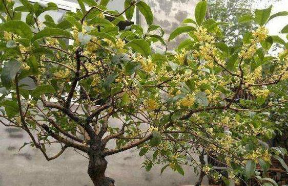 �������䑪(y��ng)ԓ����M(j��n)��ʩ�ʹ�������Ҫע��ʲô��