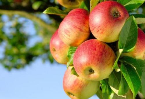 ���׌�O����������������У������O����������