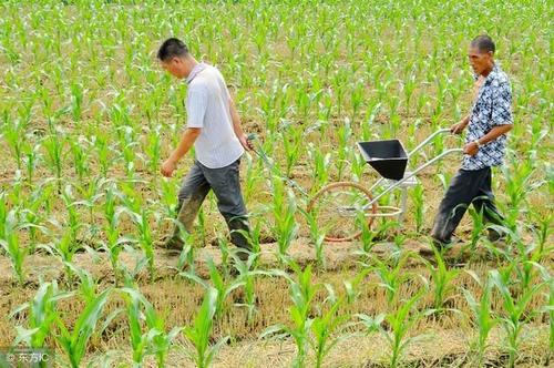 ����ԓ���ʩ�ʣ�����Щ������