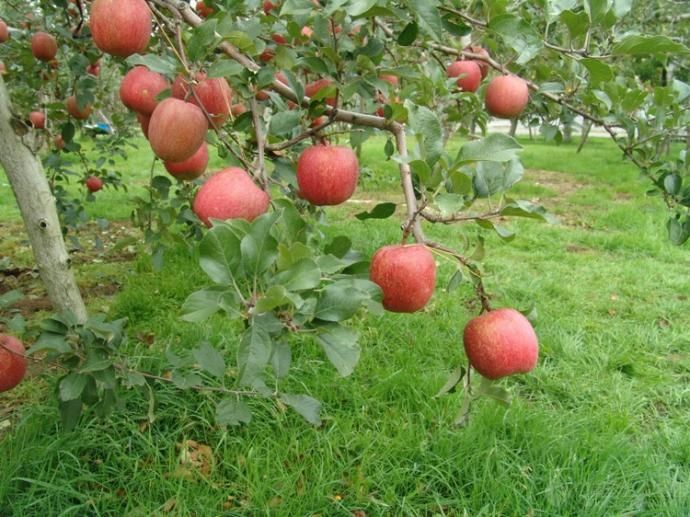 �O���@�����M(j��n)���������ࣿ�O���@�������༼�g(sh��)��