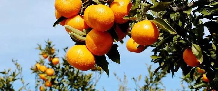 �Nֲ�̽ۑ�(y��ng)ԓ��ʲô�r��ʩ�ʣ���(y��ng)ԓ��ôʩ�ʣ�