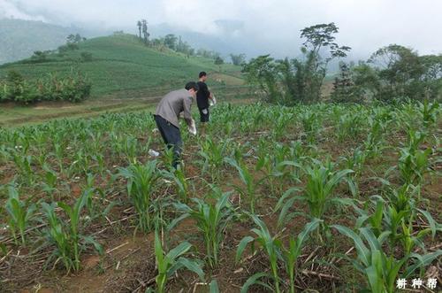 �^��ʩ�õ�����ʲôΣ������ԓ���Ӿ��⣿