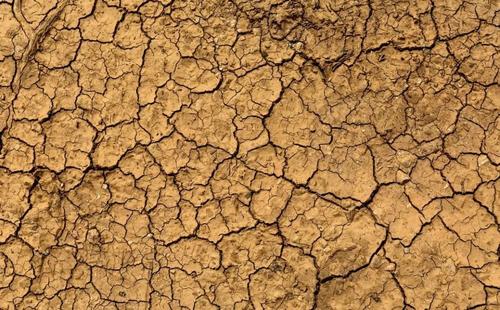 ������Y(ji��)��ɶԭ����ɵģ�����������Y(ji��)�ķ�����