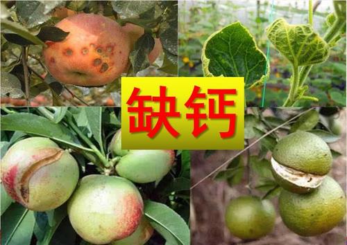 �r(n��ng)����ȱ�}��ɶԭ���r(n��ng)�����a�}����