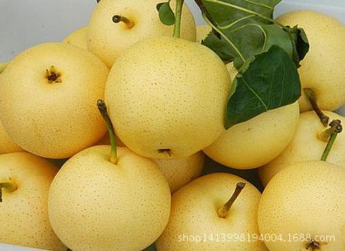 Ӱ���߮a(ch��n)��������Щ����߮a(ch��n)�Nֲ���g��