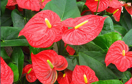 �t�Ƒ�ԓ����ʩ�ʣ��t��ʩ�ʼ��g��