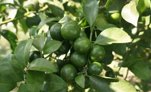 ���پ��·ݑ�(y��ng)ԓ���ʩ����ӛס�@���c(di��n)��