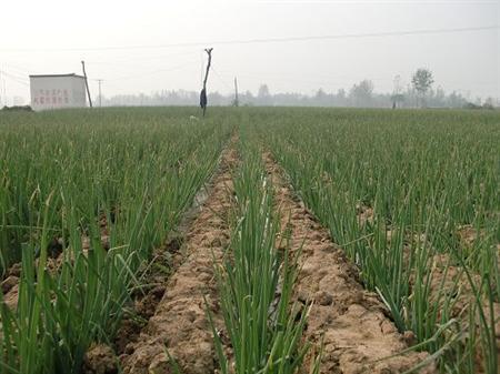 ����[����M(j��n)�и߮a(ch��n)������