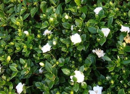 �d�ӻ�ԓ���ʩ�ʣ��d�ӻ�ʩ�����g��Ҫע����Щ���(xi��ng)