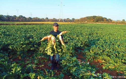 ��������}���a�����߮a�}���Nֲ�������g��