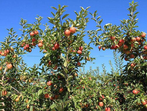 �O(p��ng)����(sh��)�߮a(ch��n)��ɶ���E��