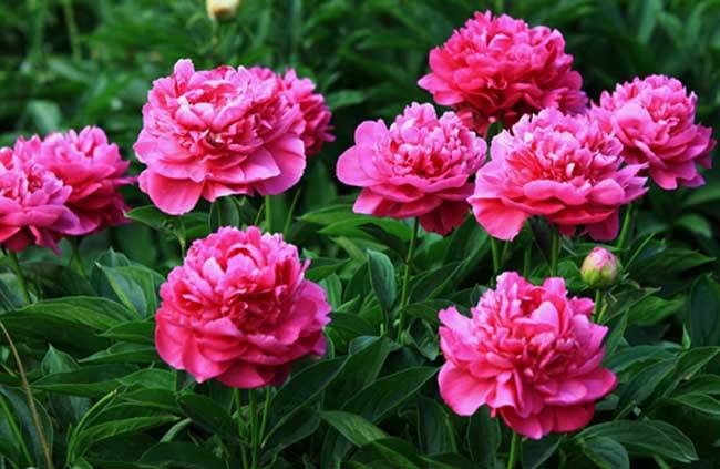 �Nֲ��ˎ��(y��ng)ԓ���ʩ�ʣ���ˎʩ�ʼ��g(sh��)��