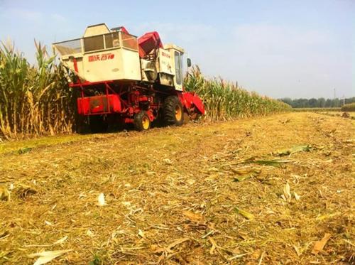 ���׽ն�߀����ô�������׽ն�߀��ע��Ҫ�c