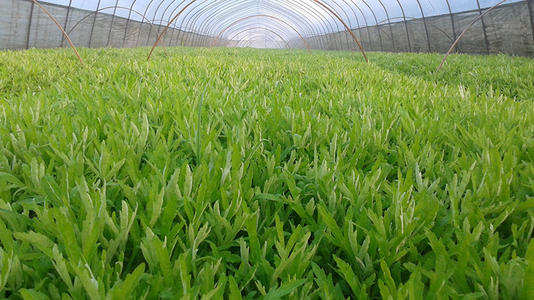 ������Ҫ�߮a��ԓ���ʩ�ʣ�����߮aʩ�ʼ��g��