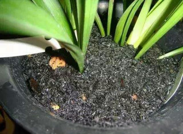 ��ľ�ҿ���ֱ�ӷN���᣿��ԓ��ôʹ�ã�