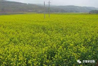 ����������c��ʲô���Nֲ��䑪(y��ng)ԓ���ʩ�ʣ�