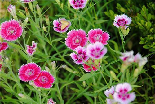 �Nֲʯ��ԓ��ʲô�r��ʩ�ʣ���ԓ��ôʩ����