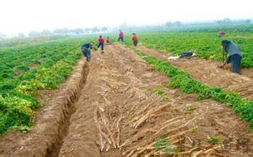 �Nֲɽˎ��(y��ng)ԓ���ʩ�ʣ�ɽˎʩ�ʼ��g(sh��)��