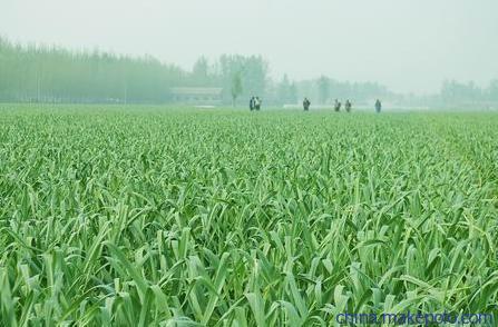 �������߲ˑ�ԓ���ʩ������Ҫע��ʲô��