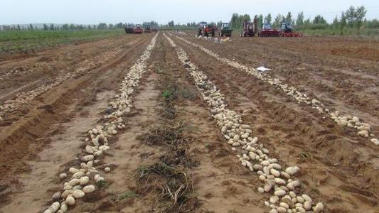 �Nֲ������Ҫ�߮a��ԓ���ʩ�ʣ�����ʩ�ʼ��g��