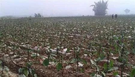 ��������ʩ�ʕ����������ʲôӰ푣���ԓ���ʩ�ʣ�