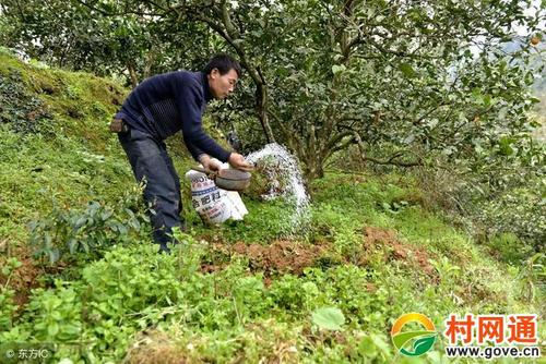 ��ʲô����Ҫ���^��ǰʩ�ʣ���ԓʩʲô����