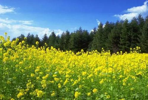 �Ͳ�ʩ����Ҫע��ʲô��ӛס�@���c(di��n)��