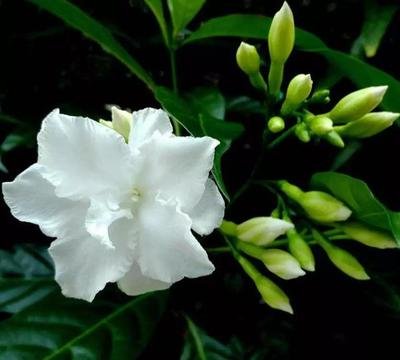 �����������Ҏ(gu��)����ʲô��ʩ�ʕr��Ҫע��ʲô��