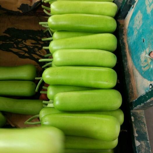 ��ԓ��ι������Ϲ�������Ҫ�c��