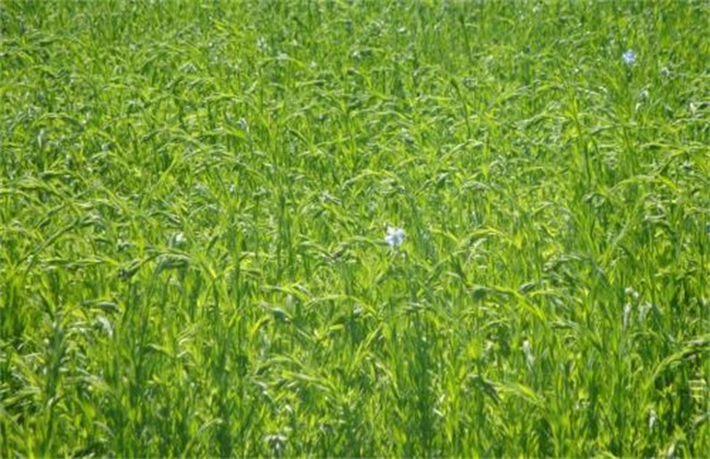 �_ʩ�ʑ�(y��ng)ԓ���ʹ�����_ʩ�����_ʹ�÷�����