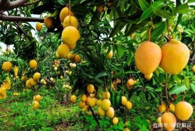 �Nֲâ����ԓ���ʩ������ԓ��ʲô�r�gʩ����