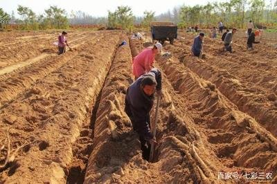 ɽˎ��Ҫ�߮a��ԓ���ʩ����ɽˎ��������c��ʲô��