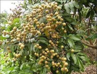 ��������������ʑ�ԓ����ʹ������Ҫע��ʲô��