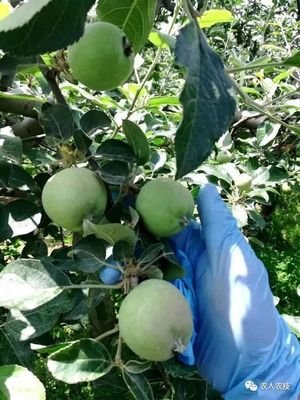 ��ء�����ʽ���½� ����(sh��)����Ҫ����(x��)