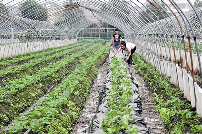 �붬������ݮҪ����