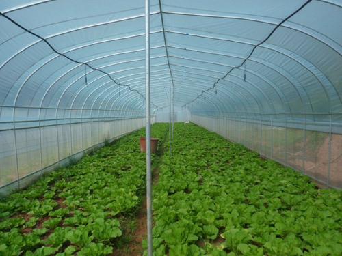 ���������߲�ԓ��ι��������������߲˹���Ҫ�c��