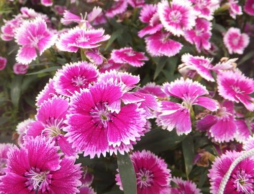 �B(y��ng)ֳʯ��ԓ���ʩ������ԓ����M��ˮ�ʹ�����