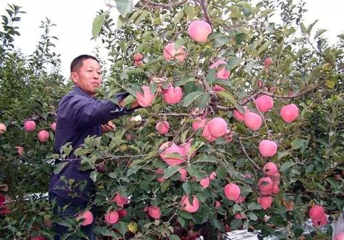 �O���@�����߻���Ч�����O���@ʩ���ʼ���