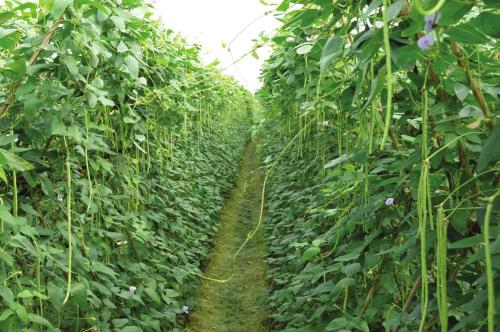 �����ĿƌW(xu��)ʩ�ʷ�����ʲô������ʩ�ʼ��g(sh��)��